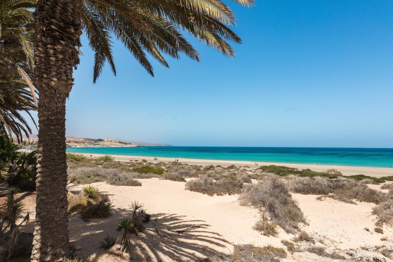 Home2Book Las Vistas Corralejo, Amazing Terrace Eksteriør billede